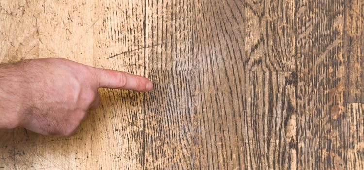 Wood Door Scratch Repair in Winton